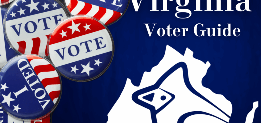 Cardinal News – 2025 Voter Guide